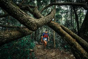 BIB: 
                            <button type="button" onclick="openModal(25665002)" class="btn btn-primary btn-sm float-right btn-popup" data-toggle="modal" data-target=".modal-high-quality">
                        <i class="fas fa-shopping-cart"></i> Add to Cart
                    </button>
                                            <button type="button" onclick="isThisMe(25665002, true)" class="btn btn-success btn-sm float-right btn-popup btn-isme hidden" data-toggle="tooltip" data-placement="bottom" title="นี่คือรูปของคุณใช่ไหม คลิกที่นี่เพื่อเอาเข้าอัลบั้ม">
                        <i class="fas fa-plus"></i> Add to album
                    </button>
                    <button type="button" onclick="isThisMe(25665002, false)" class="btn btn-warning btn-sm float-right btn-popup btn-isnotme hidden">
                        <i class="fas fa-ban"></i> Remove from album
                    </button>